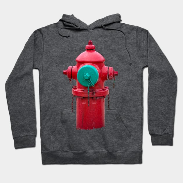 Red Traverse City Iron Works Smooth Hydrant Hoodie by Enzwell